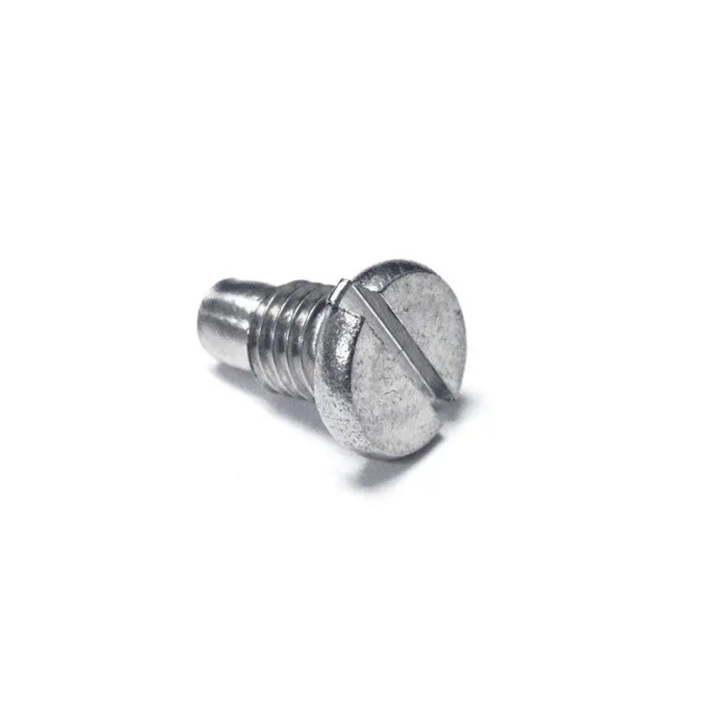 magnetic drain screw