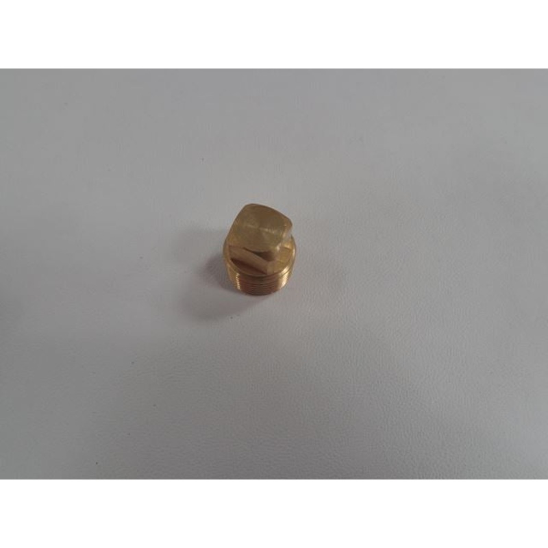 Transom Drain Plug