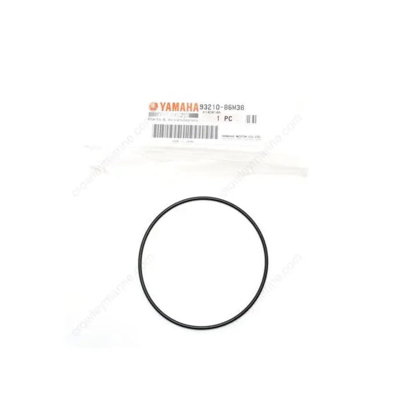 O-ring, WP