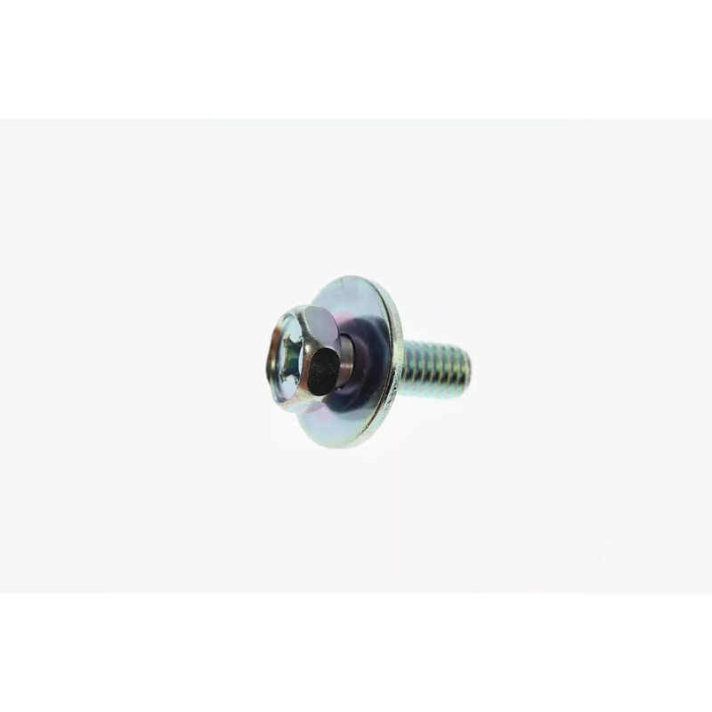Screw W/Washer