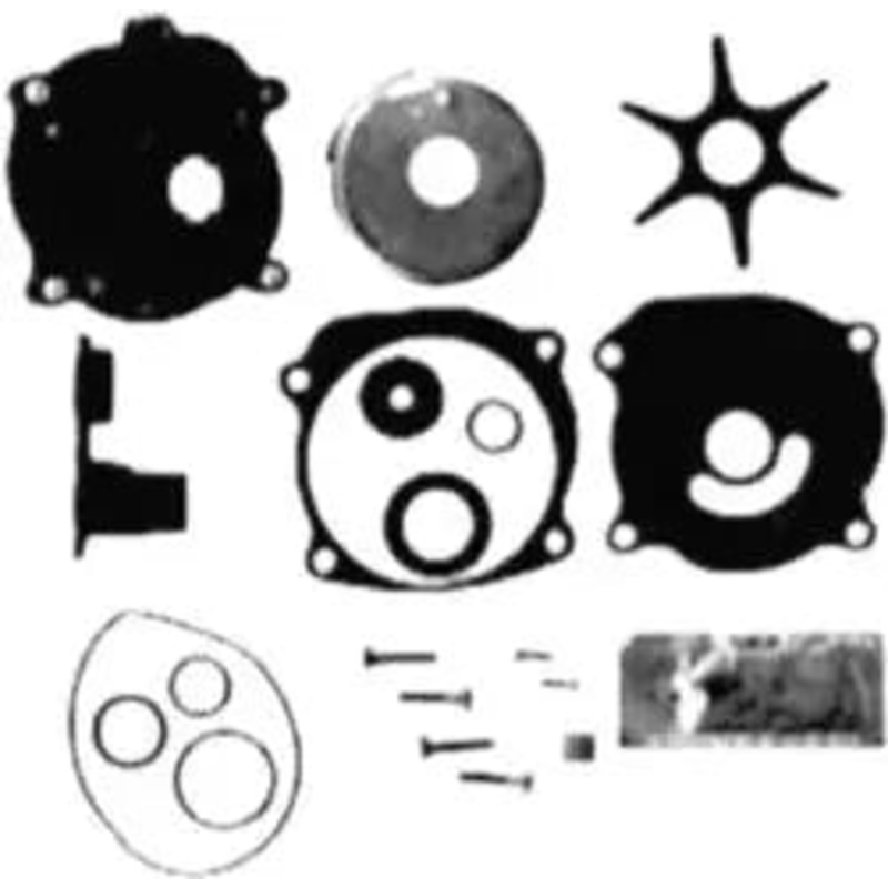 Water pump kit