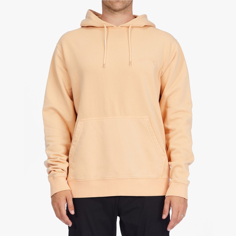 Billabong Wave Washed Men’s Hoodie