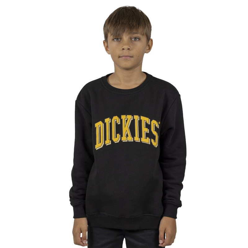 Dickies Boys Longview Crew Neck Sweater