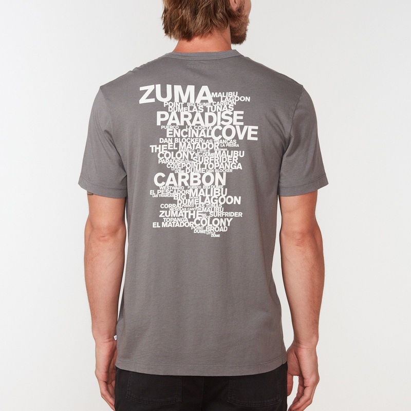 Malibu Beach Graphic Tee – Raccoon Grey